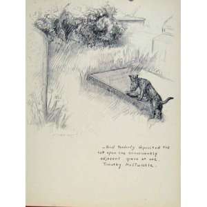  Sketch Drawing Old Art C1938 Dog Hound Animal Roof Pet 