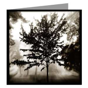  Morning And Solitary Tree Single Greeting Card: Home 