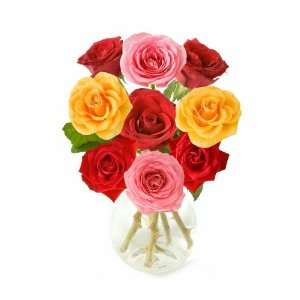  Rich bunch of pink, red and yellow roses in vase isolated 