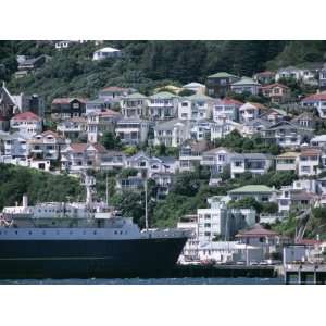  Harbour and Houses, Wellington, North Island, New Zealand 