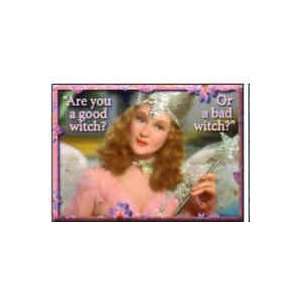  Good Witch or Bad Witch Magnet 