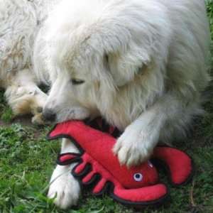  Tuffys Larry The Lobster Dog Toy: Pet Supplies