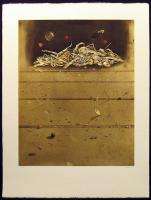 Hiroshi Asada Ciel Sombre Signed Art Color Etching brown surrealist 