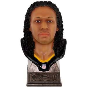  NFL Pittsburgh Steelers Troy Polamalu Player Bust: Sports 