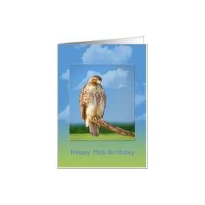  Birthday, 79th, Rough Legged Hawk Bird Card Toys & Games