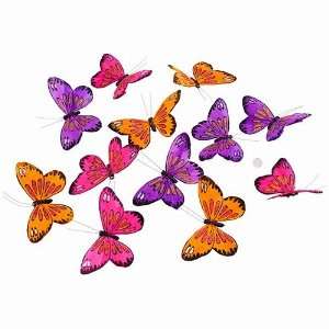   Butterflies in Purple, Orange & Fuchsia