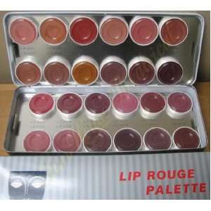  Lip Rouge 24 Color Palette Kryolan Theater Makeup 1208 