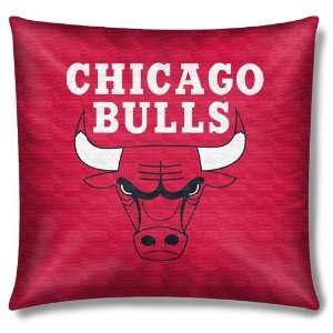  Chicago Bulls NBA Toss Pillow (16x16): Home & Kitchen
