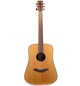 Baden D Style Acoustic Guitar Rosewood w/ Hardshell Case  
