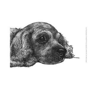  Charlie the Cocker Spaniel   Poster by Beth Thomas (13x9.5 