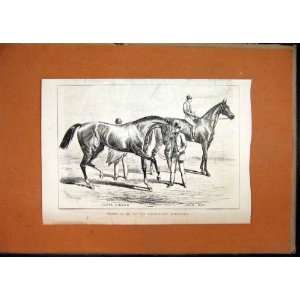  Winners City Suburban Metropolitan C1870 Horse Races