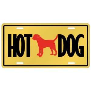   : New  Border Terrier   Hot Dog  License Plate Dog: Home & Kitchen