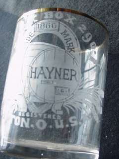 HAYNER WHISKEY fancy etched SHOT GLASS w/Gold Rim  