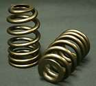 valve springs bbc  