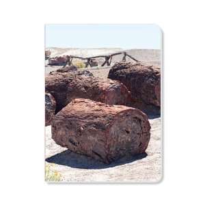 ECOeverywhere Petrified Forest National Park Journal, 160 Pages, 7.625 