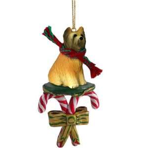  Briard Dog Candy Cane Christmas Holiday Ornament: Home 