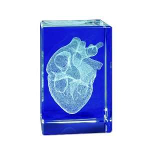 3B Scientific MAG13G Medart Glass Block Heart Model, 2 Length x 2 