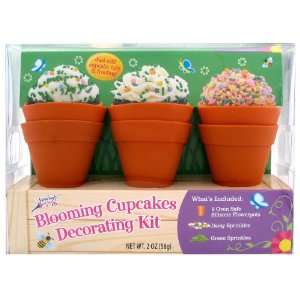Blooming Cupcakes Decorating Kit (6 pieces):  Grocery 