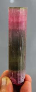   Top Quality Double Terminated Bi Color TOURMALINE CRYSTAL  