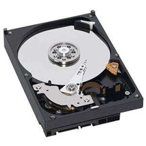  Western Digital Bulk, 1.5TB SATA II 64MB (Catalog Category 