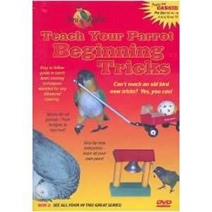   Phonics Teach your Parrot DVD 2 Beginning Tricks