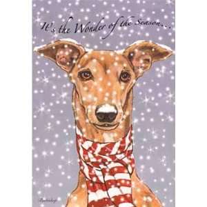  Greyhound in Scarf Boxed Christmas Cards: Everything Else