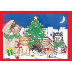  Pipsqueak Productions C990 Cat Holiday Boxed Cards: Home 