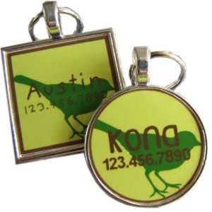  Cool Dog TagsGreen Bird: Pet Supplies