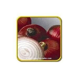  1/4 Lb   Red Burgundy   Bulk Onion Seeds Patio, Lawn 