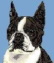 BOSTON TERRIER 2 latch Hook Rugs COLOR Pattern ONLY
