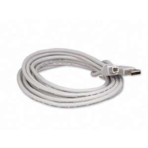   10 Foot USB 2.0 Printer / Scanner Cable A Male To B Male: Electronics