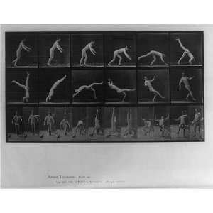   ocomotion,forward gymnastic flip,c1887,Muybridge: Home & Kitchen