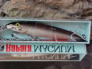 Rapala CD14 Countdown Magnum for Stripers,Musky,Bass  