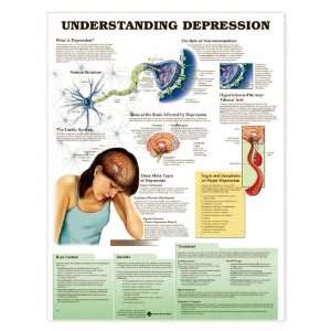  Understanding Depression Anatomical Chart Unmounted 9974PU 