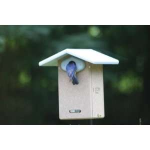  Recycled Ultimate Bluebird House w/Camera: Patio, Lawn 