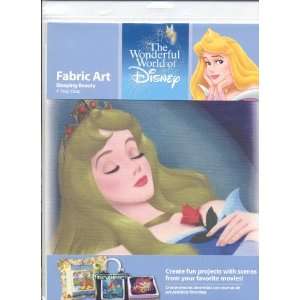  The Wonderful World of Disney Fabric Art Sleeping Beauty A 