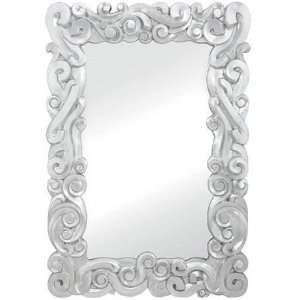  Reeser Bright Silver Mirror 41x60 Home & Kitchen