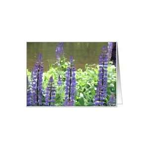  Purple Flower Spikes Note Card Card: Health & Personal 