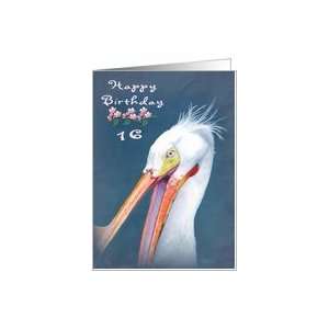  Happy 16th Birthday Wild Pelican Card Toys & Games