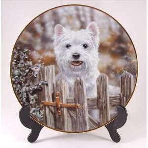  Danbury Mint dog plate   Westies   May I come In   by Paul 