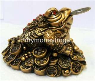 NEW Medium Brass Feng Shui Money Chinese Coin Frog #L31  