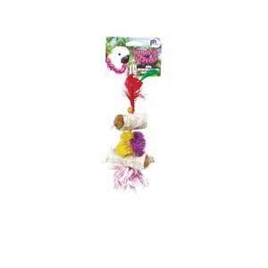  Prevue Pet Products Tropical Teasers Mojito   62504