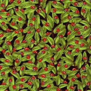   on Green Leaves by Timeless Treasures Fabrics Arts, Crafts & Sewing