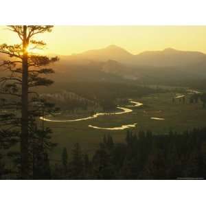  View at Dawn of the Tuolumne River Winding Through 