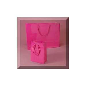     12 X 5 1/2 X 17 Senior Hot Pink Euro Bag