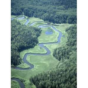  Meandering Stream in the Taiga or Northern Coniferous Forest 