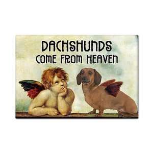  Dachshunds Come From Heaven Cute Fridge Magnet Everything 