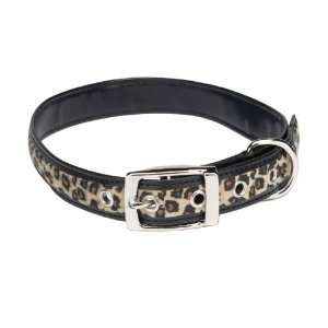   Zoey Faux Leather Gold Leopard Print Dog Collar, 14 to 18 Inch, Black