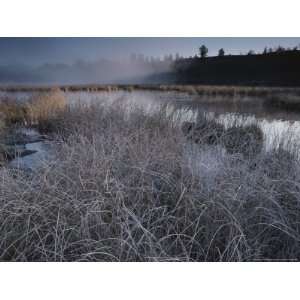  Frost Covered Grasses and Early Morning Mist over Teton 