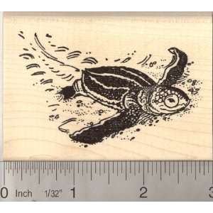   Baby Leatherback Sea Turtle Rubber Stamp Arts, Crafts & Sewing